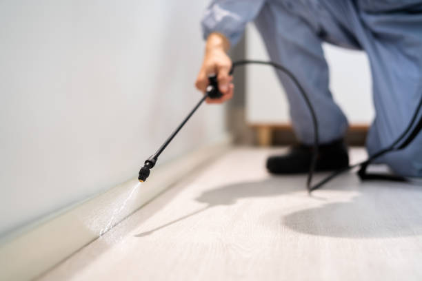 Certified termite inspector examining foundation in Wolf Lake