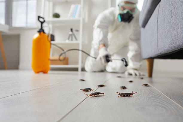 Post-Treatment Bed Bug Interceptor Monitoring in Wolf Lake