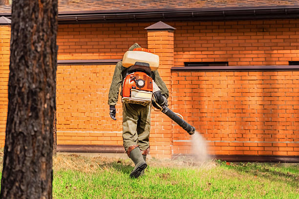 Bed Bug Clearance Verification and Documentation in Wolf Lake
